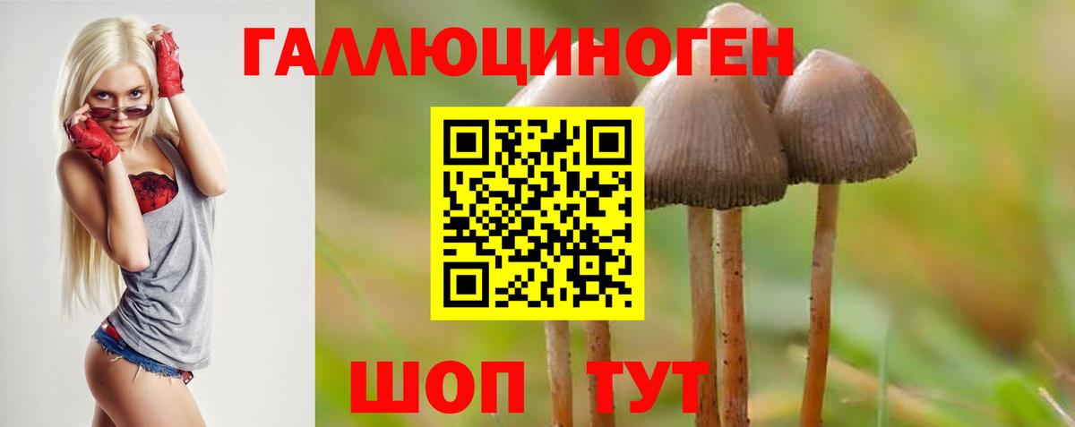 Железногорск  Галлюциногенные грибы MAGIC MUSHROOMS  Вход с VPN 